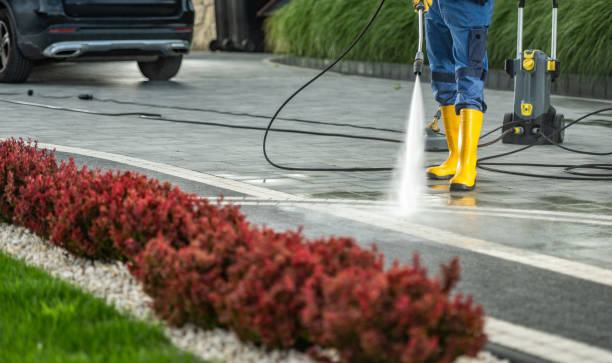 Best Building Exterior Washing  in Chittenango, NY